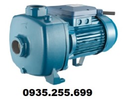 Máy bơm ly tâm tự mồi Pentax MBT300/00